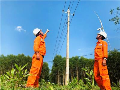 Thủy điện An Khê – Ka Nak tăng cường các biện pháp đảm bảo an toàn cho tuyến đường dây tự dùng 22kV