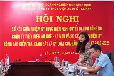 Đảng bộ Công ty Thủy điện An Khê – Ka Nak sơ kết giữa nhiệm kỳ 2020-2025