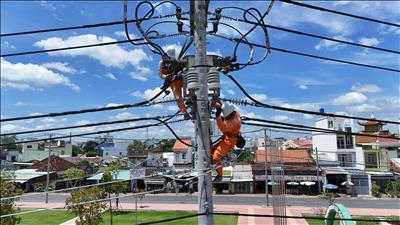 Tình hình hoạt động 6 tháng đầu năm 2025; mục tiêu, nhiệm vụ công tác tháng 7 năm 2025