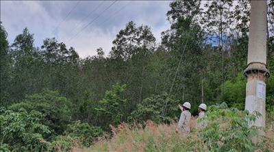 Thủy điện An Khê – Ka Nak tăng cường các biện pháp đảm bảo an toàn hành lang lưới điện 22kV cấp cho tự dùng các nhà máy