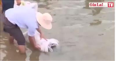 Lễ thả giống phóng sinh tạo nguồn thủy sản tại hồ Ka Nak